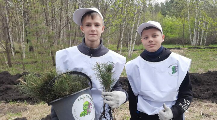 Кузбасовцы высадили за один день 4 тысячи кедров в память о герое Великой Отечественной войны