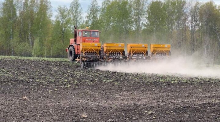 Аграрии Кузбасса на сегодняшний день выполнили посевную кампанию на 68%