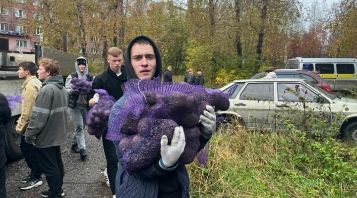 Кузбассовцам в этом году бесплатно выдадут 10 тысяч овощных наборов