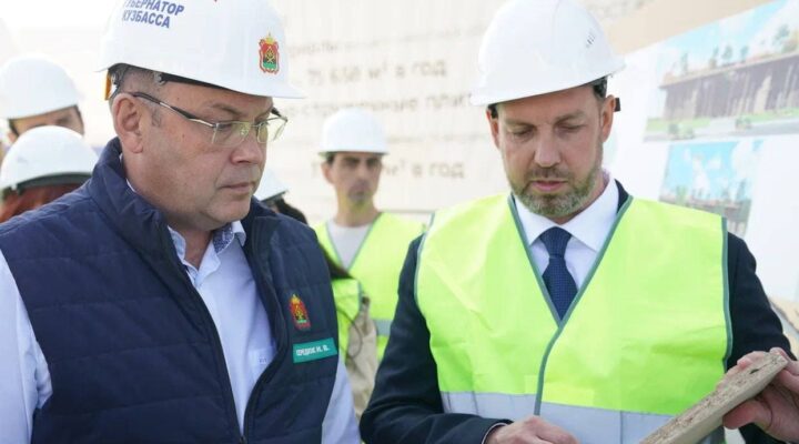 Деревообрабатывающий комбинат в Кемерове запустят в 2027 году