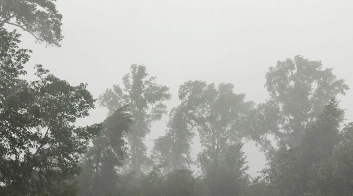 В Кузбассе восстановили электроснабжение после ночного урагана