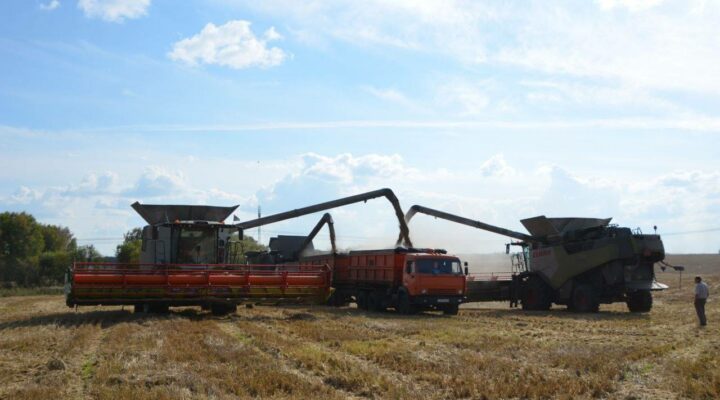 Шесть муниципалитетов Кузбасса завершили уборочную кампанию Шесть муниципалитетов Кузбасса завершили уборочную кампанию